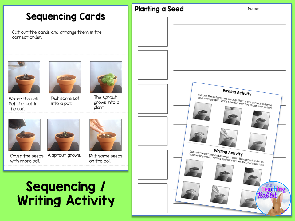 How To Plant A Seed Sequencing Activityflashcards Tpt vrogue.co